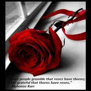 Meet your Posher, Joy